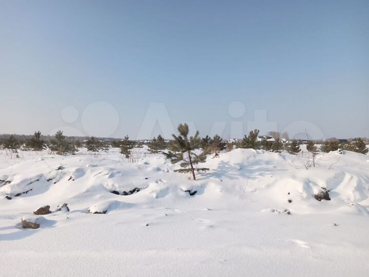 Участок 10 сот. (СНТ, ДНП)