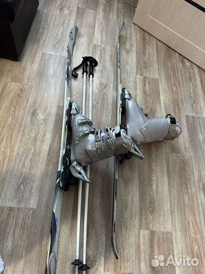 Горные лыжи