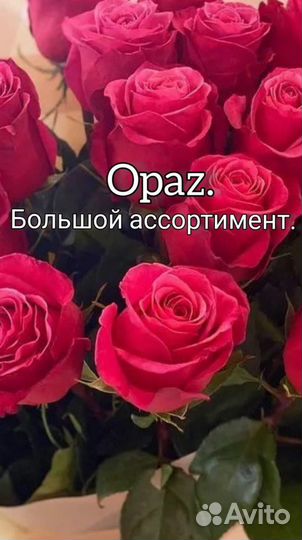 Букет 25 роз 50см