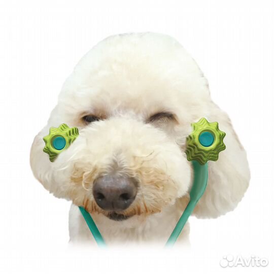 Игрушка массажная для собак, 1 штука