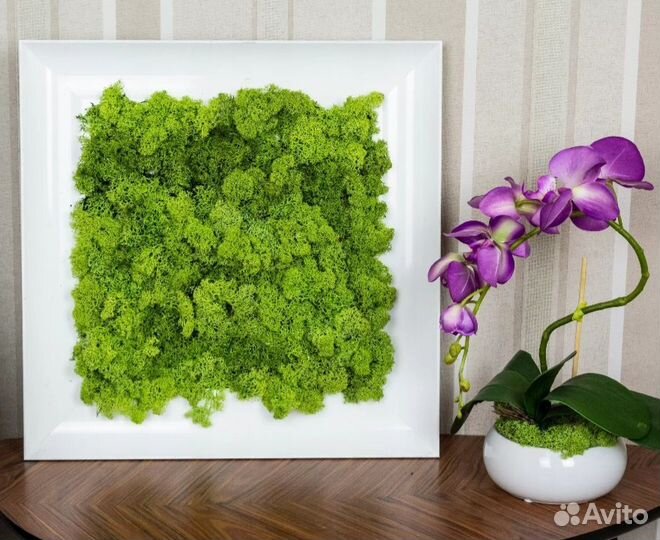 Эко картины из мха и других природных материалов