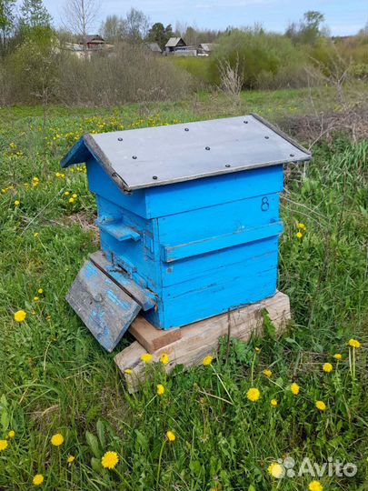 Ульи для пчел бу
