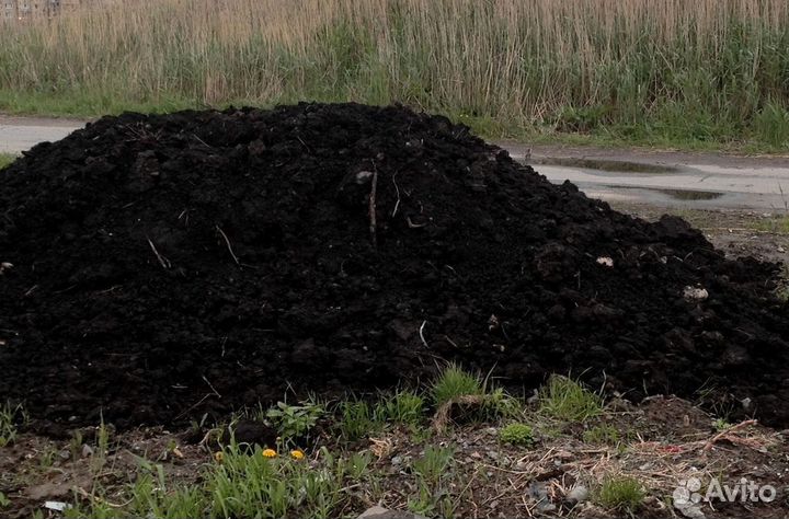 Земля плодородная