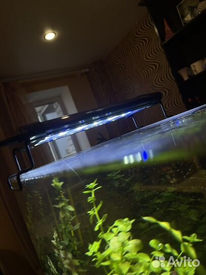 Светодиодная лампа для аквариума