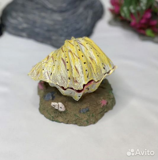 Декарация для аквариума / грот / ракушка
