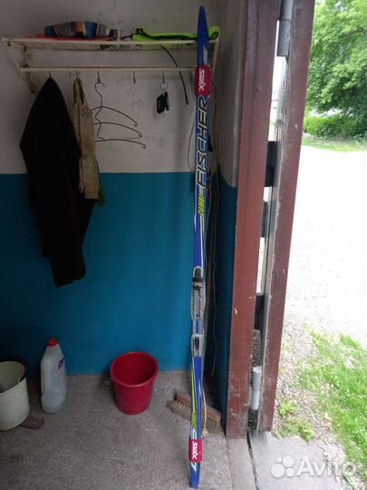 Беговые лыжи