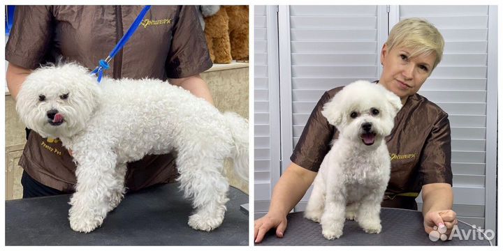 Стрижка собак/груминг