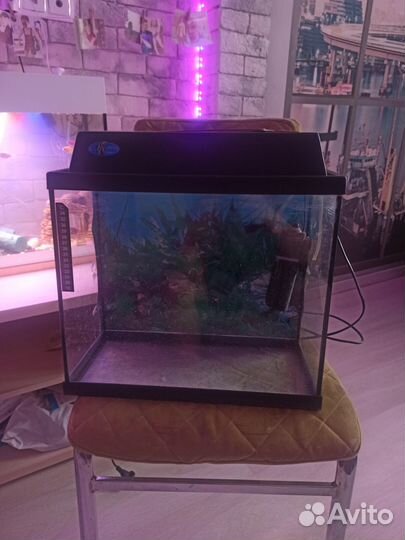 Аквариум для рыбок / террариум 40л