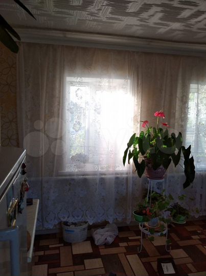 Дом 66 м² на участке 60 сот.