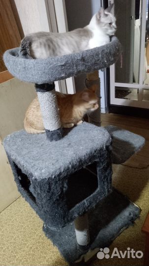 Домик для кошки