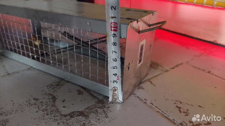 Мышеловка клетка