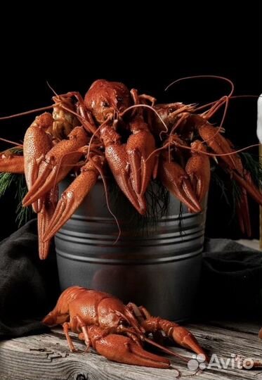 Раки Озерные