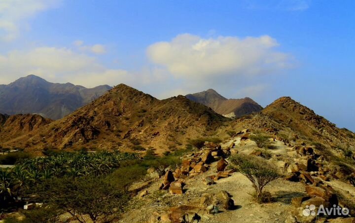 Загранпоездка в г. Фуджейру от 7 дней