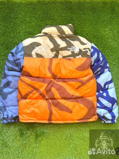 Куртка The North Face 700