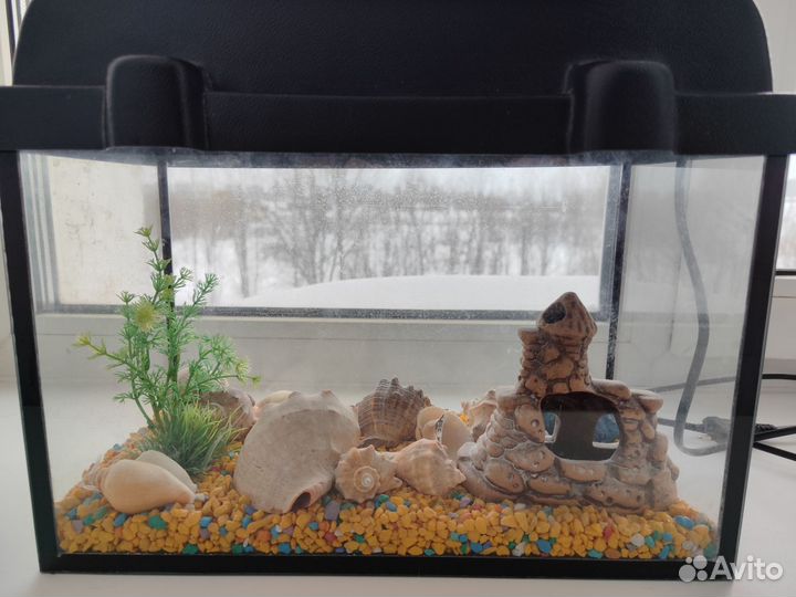 Аквариум