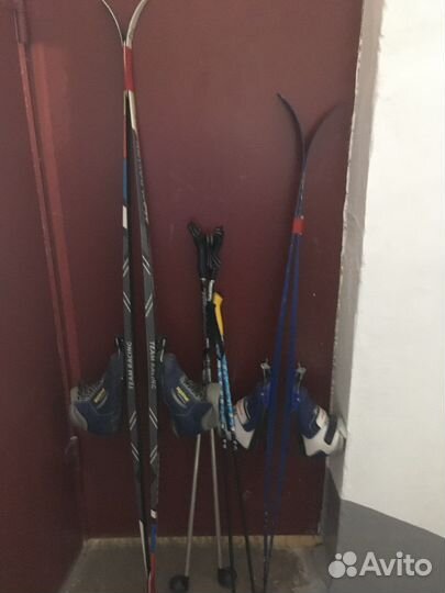 Беговые лыжи