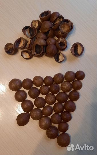 Скорлупа ореха макадамия