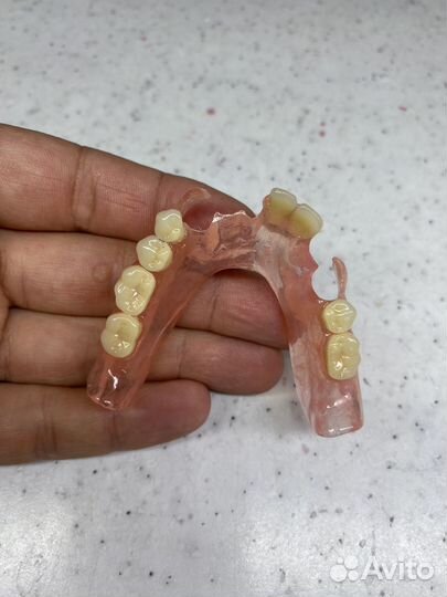 Зу Лаборатория