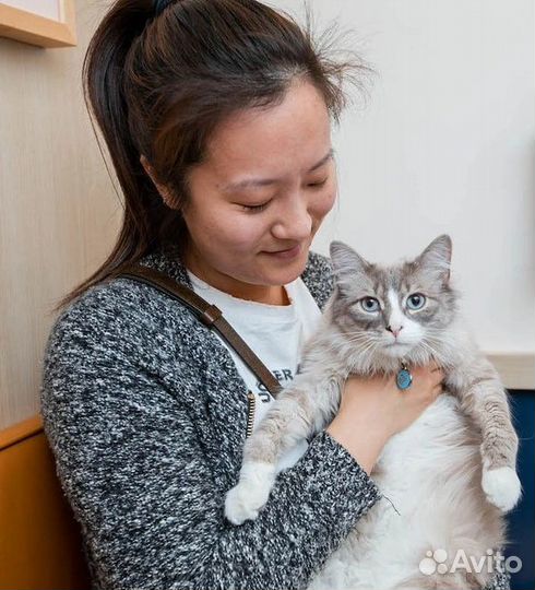 Скорая ветеринарная помощь. Ветеринарный врач