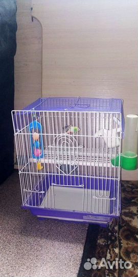 Клетка для попугая бу