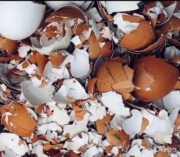 Скорлупа яичная кальций подкормка от сырых яиц