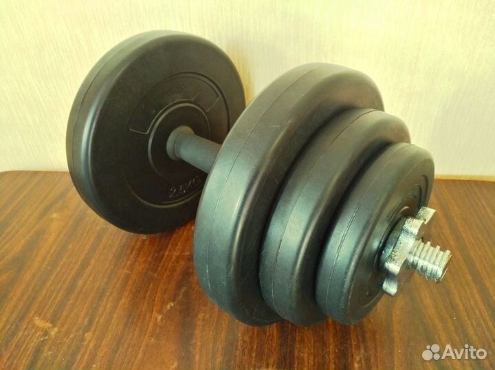 Гантеля разборная 10,6 кг (6 дисков+стальной гриф)