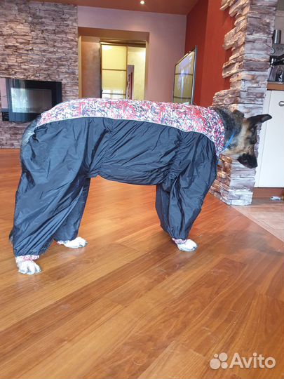 Дождевик для крупных собак, комбинезон