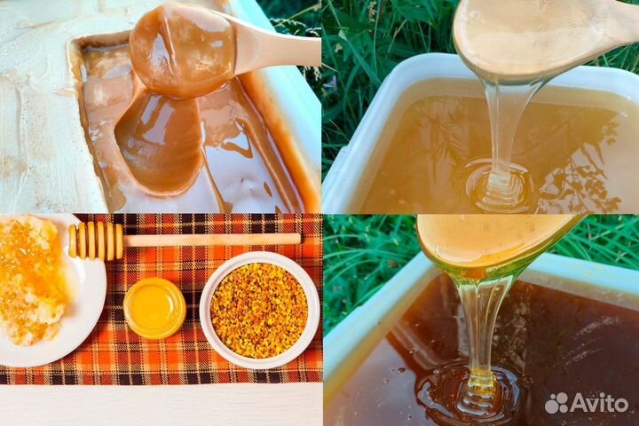 Мёд оптом от 1 кг - сам пчеловод. Москва