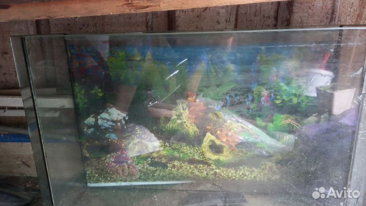 Аквариум