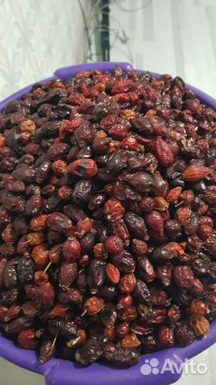 Шиповник, Сок тыквенный