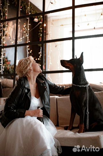 Фотосессия с доберманом