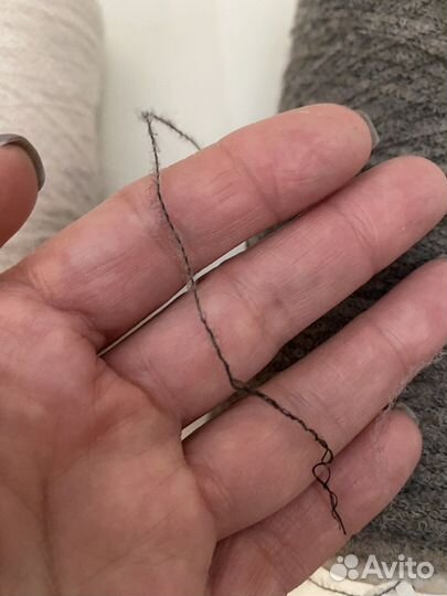 Вспушенный меринос