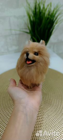 Шпиц игрушка из шерсти
