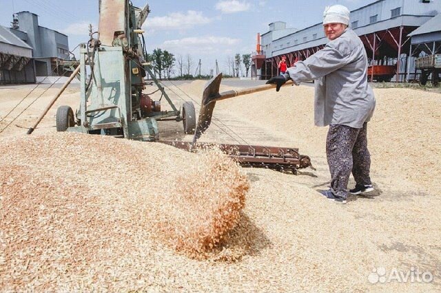 Разнорабочий на агрохолдинг в Татарстане
