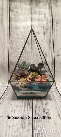 Флорариум подарок