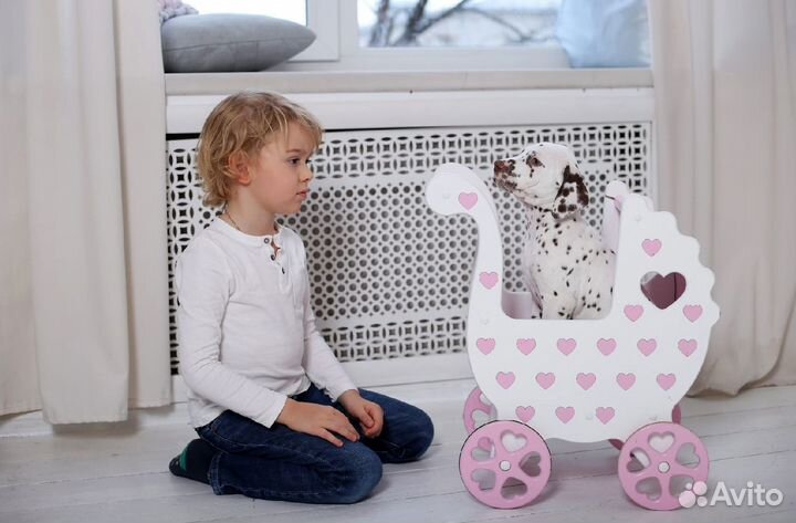 Далматины для фотосессий и праздников