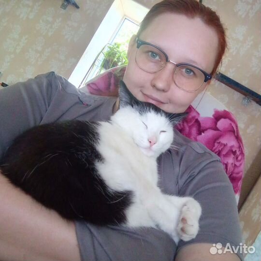 Передержка животных