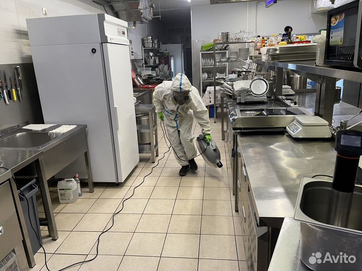 Уничтожение клопов