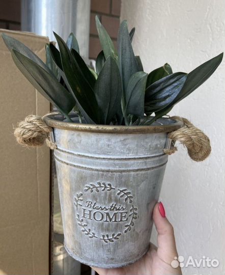 Кашпо и горшок для цветов напольный