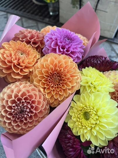 Букеты из георгин цветы с доставкой розы пионы