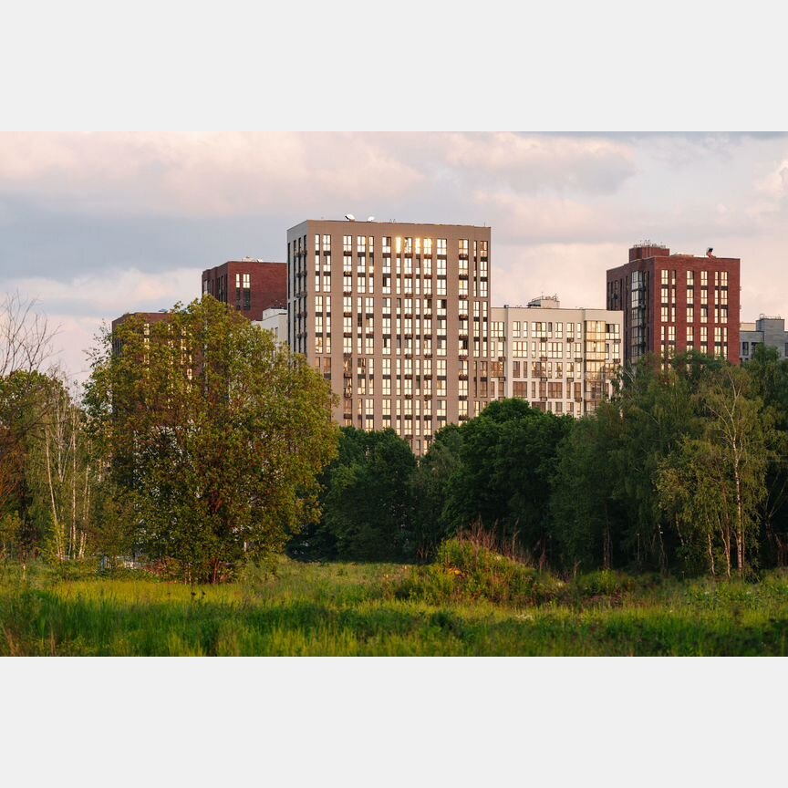 2-к. квартира, 55,1 м², 7/17 эт.