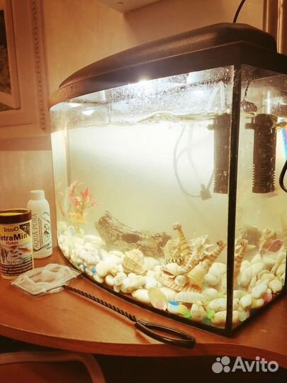 Продам аквариум с рыбками на 20 литров с рыбаами