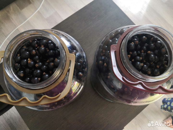 Черная смородина ягода свежая