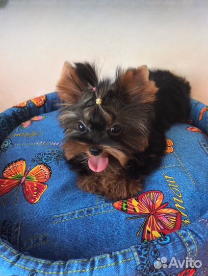 Микро мальчик и девочка