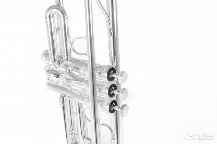 Труба Roy Benson TR-202S