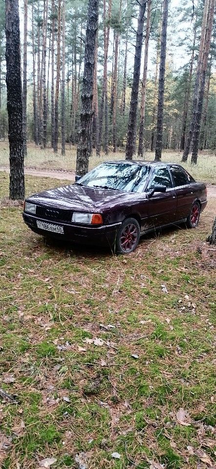 Audi 80: фото владельца