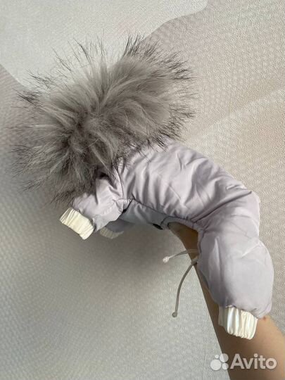 Комбинезон для собаки