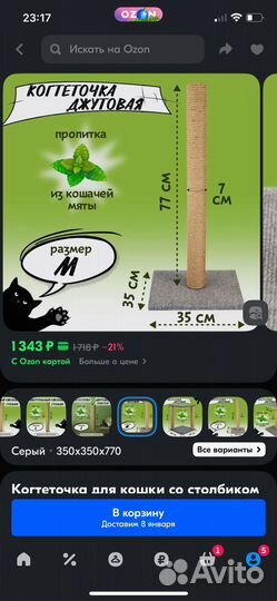 Когтеточка Новая