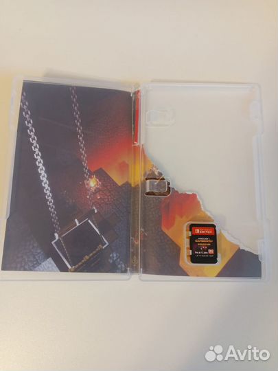 Minecraft dungeons nintendo switch