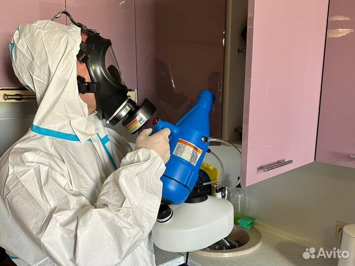 Уничтожение тараканов дезинфекция